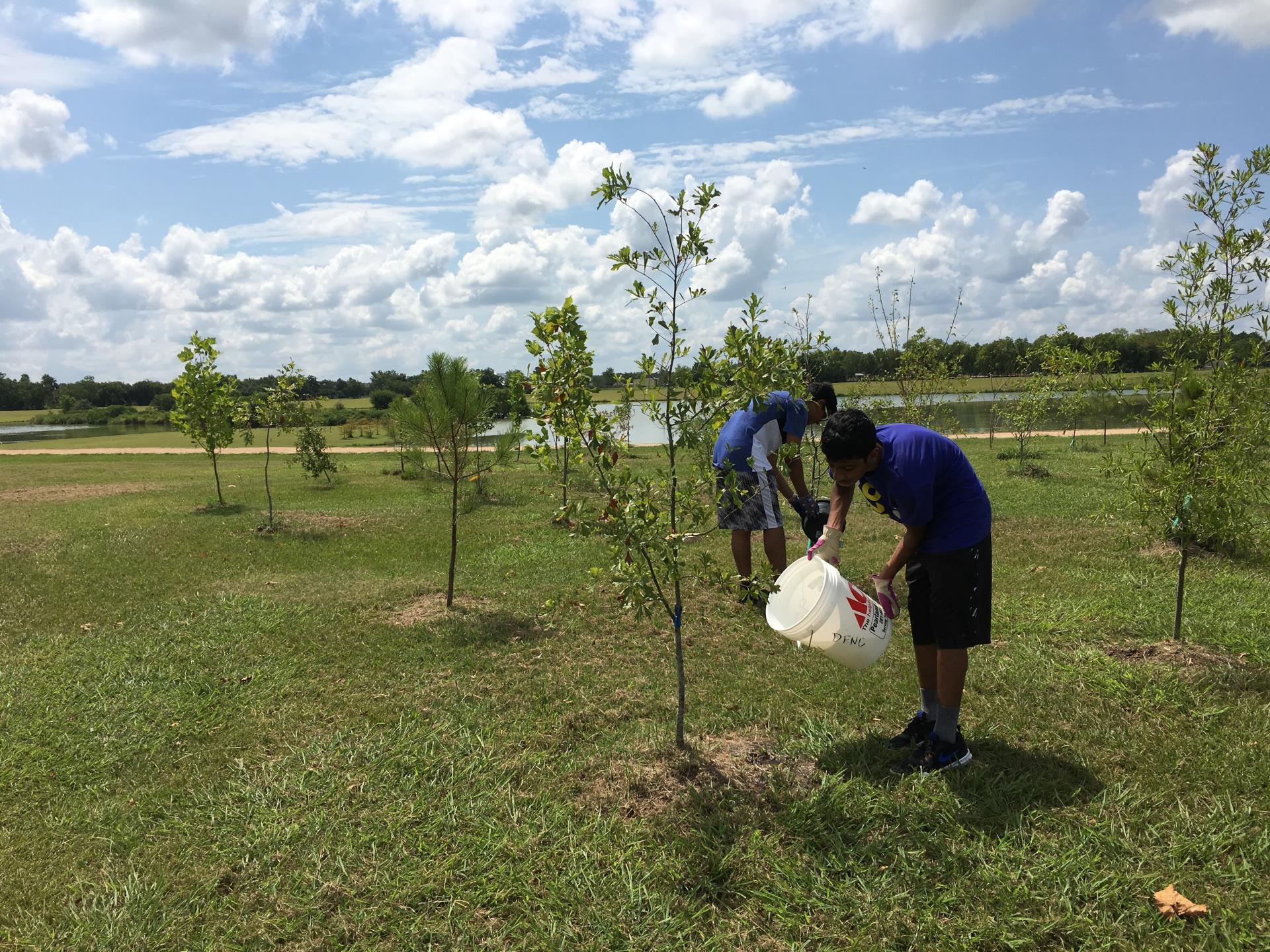 Volunteers water trees at JHEC 