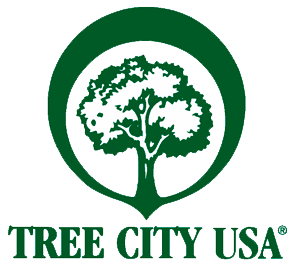 TreeCityLogo---for-web