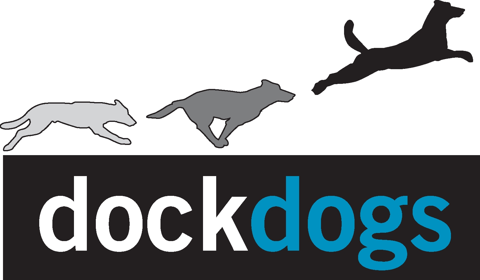 Dock Dogs Logo