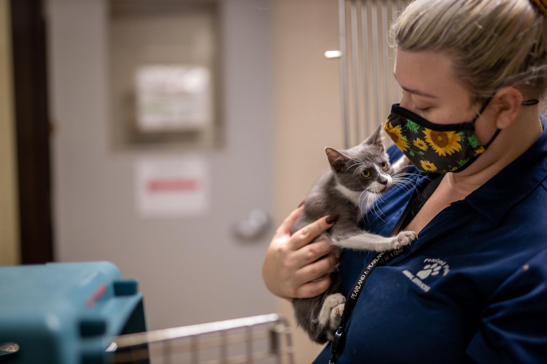 animal control officer holding a kitten