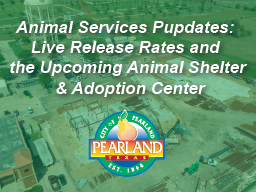 Animal Services Thumbnail-01