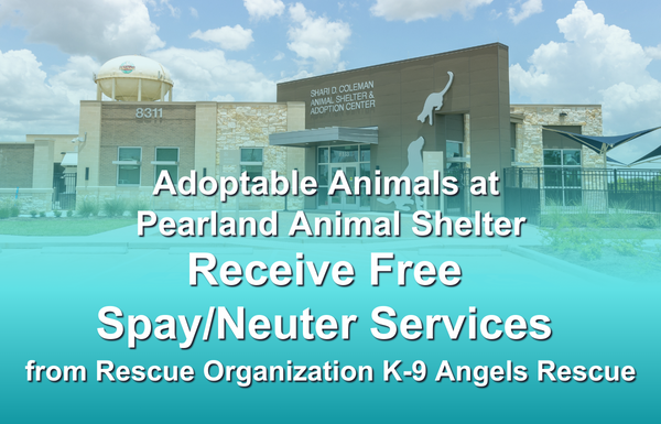 Adoptable Animals at Pearland Animal Shelter Receive Free Spay/Neuter Services from Rescue Organization K-9 Angels Rescue